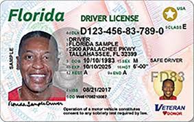 andina-drivers-license-fl